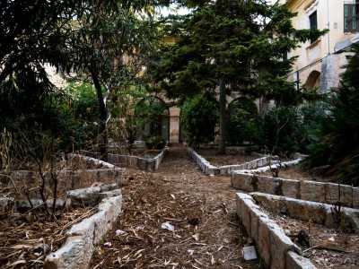 ...in cui la vegetazione cresce rigogliosa 